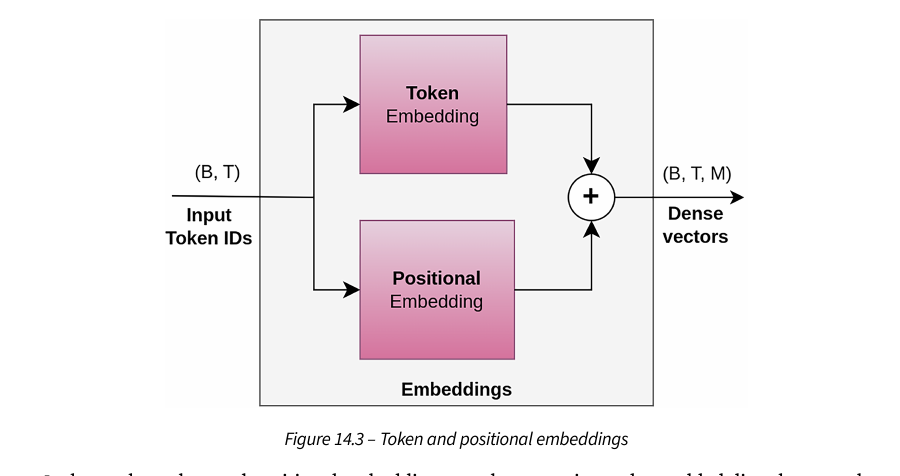 Token and positional embeddings in the from-scratch transformer