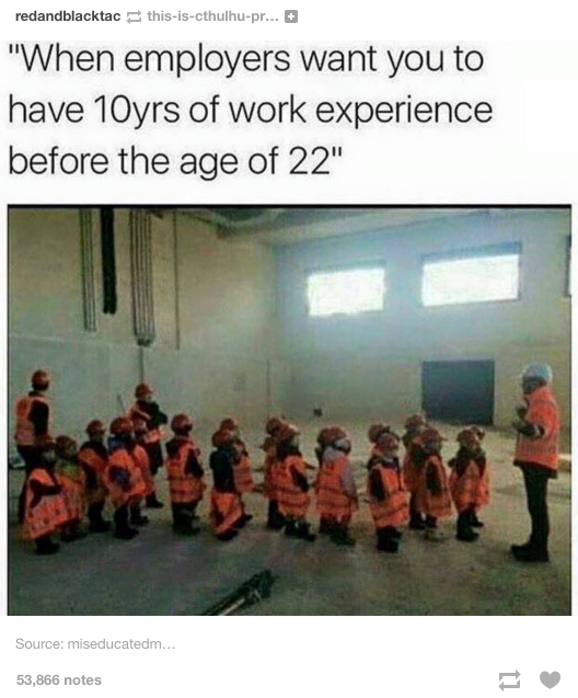 Job experience