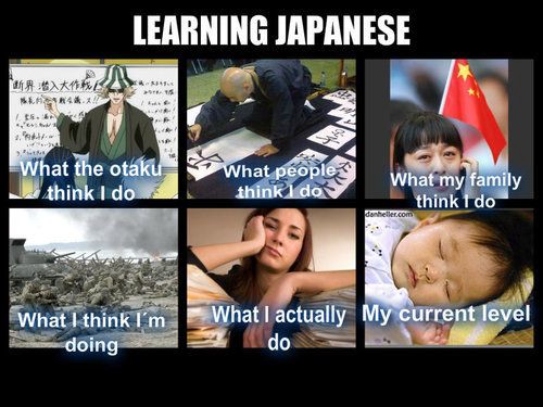 Japanese learning meme