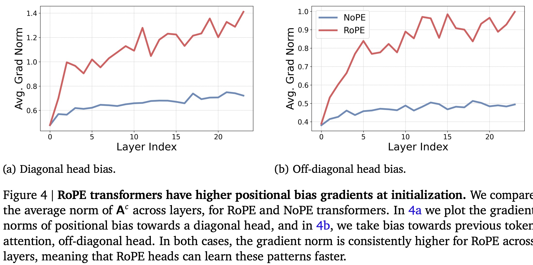 RoPE transformers have higher positional bias gradients at initialization